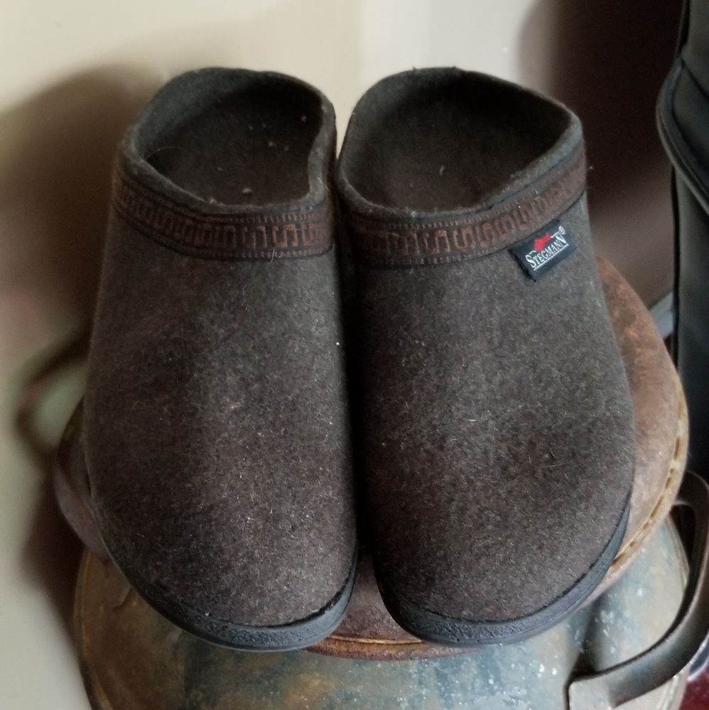 Stegmann wool clogs